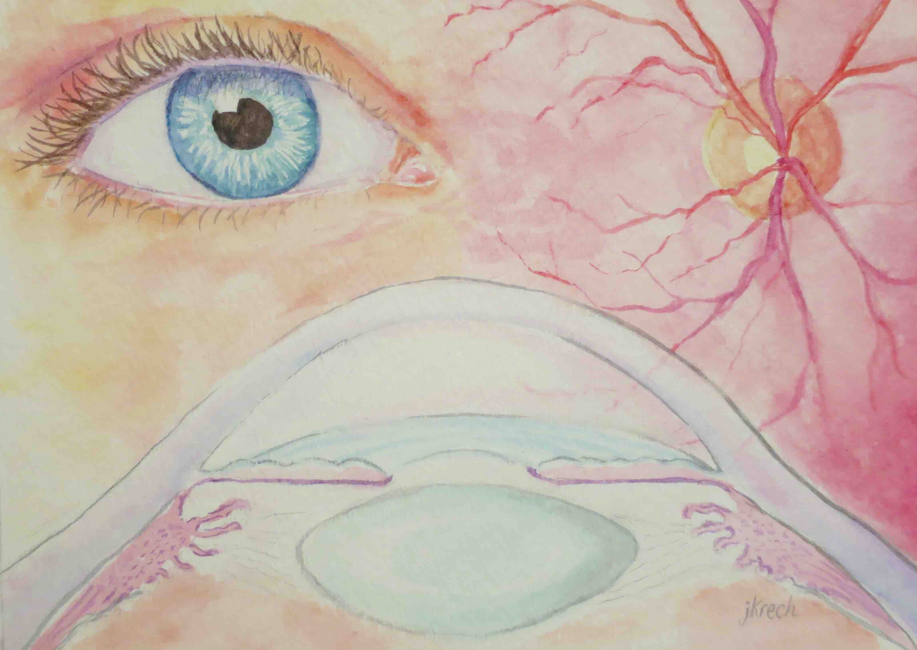 Jenny Krech Ocular Watercolor (s)